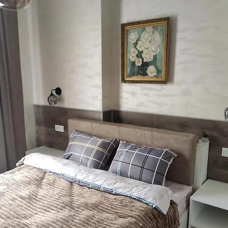 Apartment In The Center